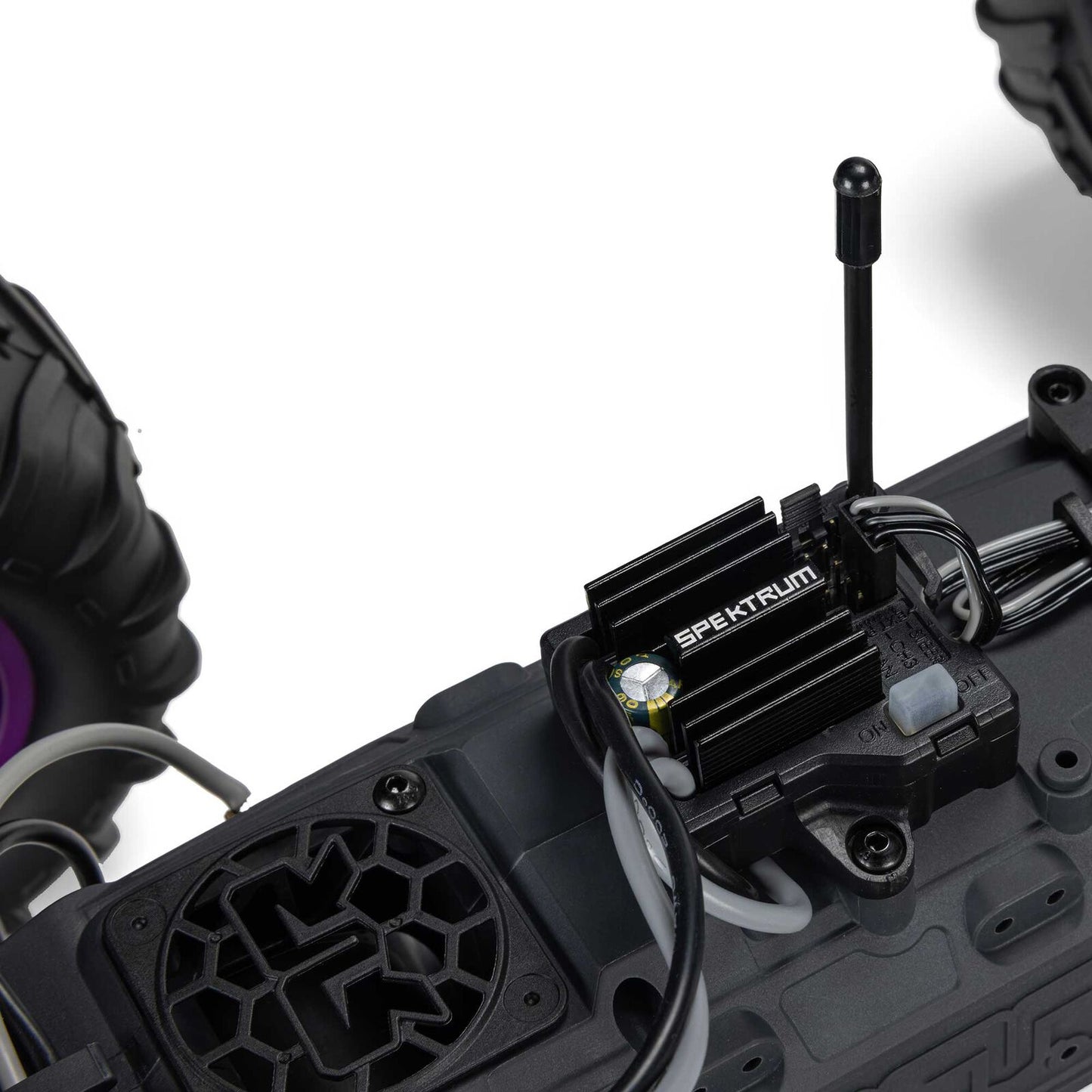 1/10 GORGON 2WD RTR Brushed Monster Truck (Battery & Charger Included), Purple - Xtreme RC