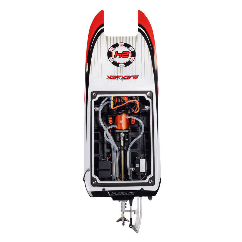 Blackjack 24" V2 Catamaran Brushless, Vegas Offshore: RTR - Xtreme RC