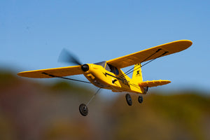 Micro Sport Cub 400 3-Channel RTF Airplane with PASS System - Xtreme RC