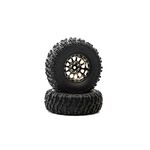 Class 1 Ascend CR C3 1.9" Blk/Chr (2) - Xtreme RC