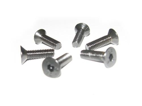 820040 Himoto 4*16 Flat Head Screws 6P - Xtreme RC