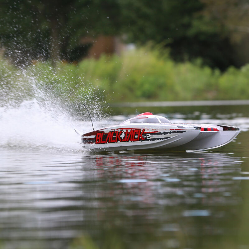 Blackjack 42-inch Brushless 8S Cat,WHT/RED:RTR - Xtreme RC
